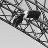 John Mueller > Bridge Day 2007