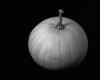 John Mueller > Black and White >  QF1C6053