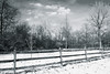 John Mueller > Black and White >  690O2696