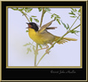 Birds : Birds