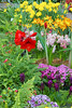 Krohn Conservatory : Eden Park