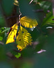 John Mueller > Fall Colors photo